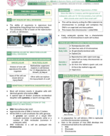 [ Q1W4 ] General Biology Transes.pdf