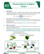 PHOTOSYNTHESIS IN HIGHER PLANTS.pdf