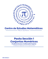 60xSec1 - Pauta Capítulo Conjuntos Numéricos.pdf