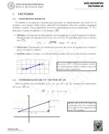 60xGeo1 - Pauta Vectores 2D.pdf