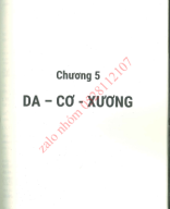 chương 5 cơ xuong khớp.pdf