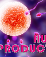 3 Human reproduction Picture slides - Demo.pptx