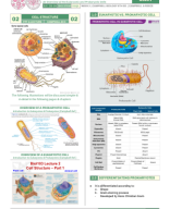 [ Q1W2 ] General Biology Transes.pdf