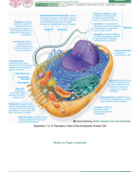 [ Q1W3 ] General Biology Transes.pdf