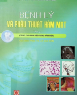 Bệnh lý và phẫu thuật hàm mặt tập 2 _ 303tr p1.pdf