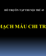 Mach-mau-chi-tren.pptx