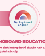 Springboard - Brochure 2024.pdf