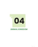 ANIMAL KINGDOM.pdf