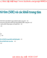 14 thuyên tắc từ tim và các khối trong tim.pdf