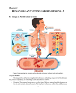 Module 3.pdf