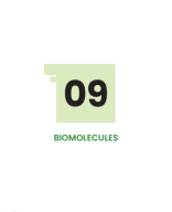 BIOMOLECULES.pdf