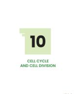 CELL CYCLE AND CELL DIVISION.pdf