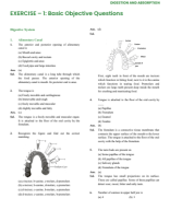 Ex- 1. Digestion and absorption  (Q-A-Sol).docx.pdf