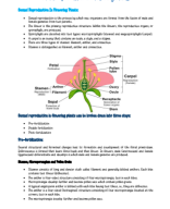 2.Sexual Reproduction In Flowering Plants.pdf