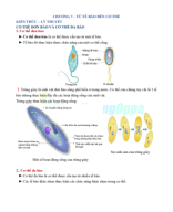 BỘ TỔNG HỢP TN-TL KHTN 6 - Chương 7.pdf