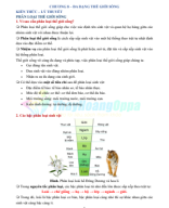 BỘ TỔNG HỢP TN-TL KHTN 6 - Chương 8.pdf