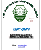 BISE Bahawalpur 10th Class Result Gazette 2024.pdf