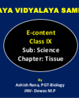 Ch 6 Tissues 1.pptx