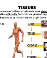 Ch 6 Tissues 2.pptx