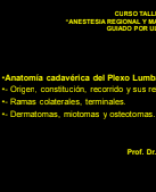 Plexo Lumbar. Curso Anest.pdf