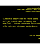 Anatomía Presentación PLEXO Sacro.pdf