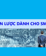 Chiến lược dành cho SME, Cơ bản - GV Lai Trọng Hồ.pdf