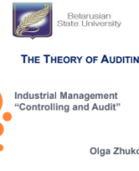 Theory of Auditing (Industry Audit and Controlling).pdf