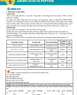 Bài 9. Amino acid - peptide - HS.pdf