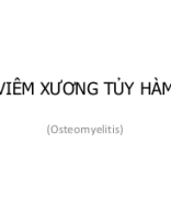 VIÊM XƯƠNG TỦY HÀM.pptx