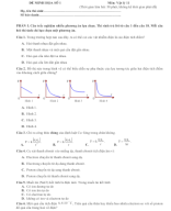 ĐỀ 1 - ĐỀ ÔN TẬP GIỮA KÌ 2 LÝ 11 KNTT ( Theo minh họa 2025 ).docx