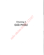 chương 3 giải phẫu.pdf