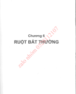 chương 6 ruột bất  thường.pdf