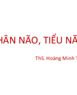 Giải phẫu thần kinh thân tiểu não.ppt