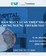 3. Presentation_Dr Nguyen Thanh Tung.pdf