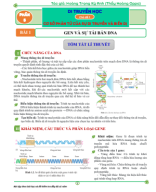 (Bản xem) Bài tập theo bài Sinh 12 cấu trúc mới.pdf