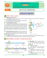 BÀI 1 Gene và sự tái bản DNA.pdf