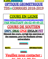 °TDS OPTIQUE-GEO FSR 2019 SMAI.pdf