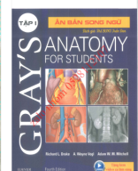 gray's anatomy for student tập 1 P1.pdf