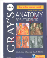 grays anatonmy song ngữ tập 2.pdf