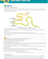 Bài 10. Protein và enzyme - HS.docx