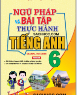 NGỮ PHÁP VÀ BÀI TẬP THỰC HÀNH TIẾNG ANH 6 .docx