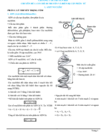 CHUYÊN ĐỀ 1_ CƠ CHẾ DI TRUYỀN VÀ BIẾN DỊ CẤP PHÂN TỬ.pdf