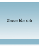 19 Glocom bam sinh.pdf