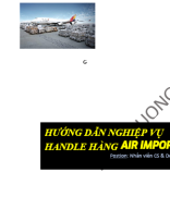 EBOOK - AIR IMPORT.docx