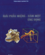 GIẢI PHẪU MIỆNG mặt và ứng dụng.pdf