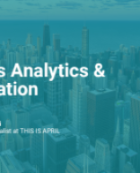 15. Paid Ads Analytics  & Optimization