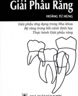 Giải phẫu răng 2021 Hoàng Tử Hùng p1.pdf