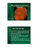 1b. 1st.SpectrumRetinalVascularDisease.Hue.Stevens.PART1.pdf