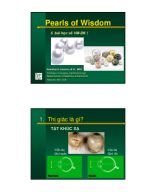 3b. PEARLSOFWISDOM.STEVENS.HUE.2015.FINAL.pdf