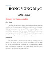 KANSKI_Bong võng mạc 3.7.2017.docx